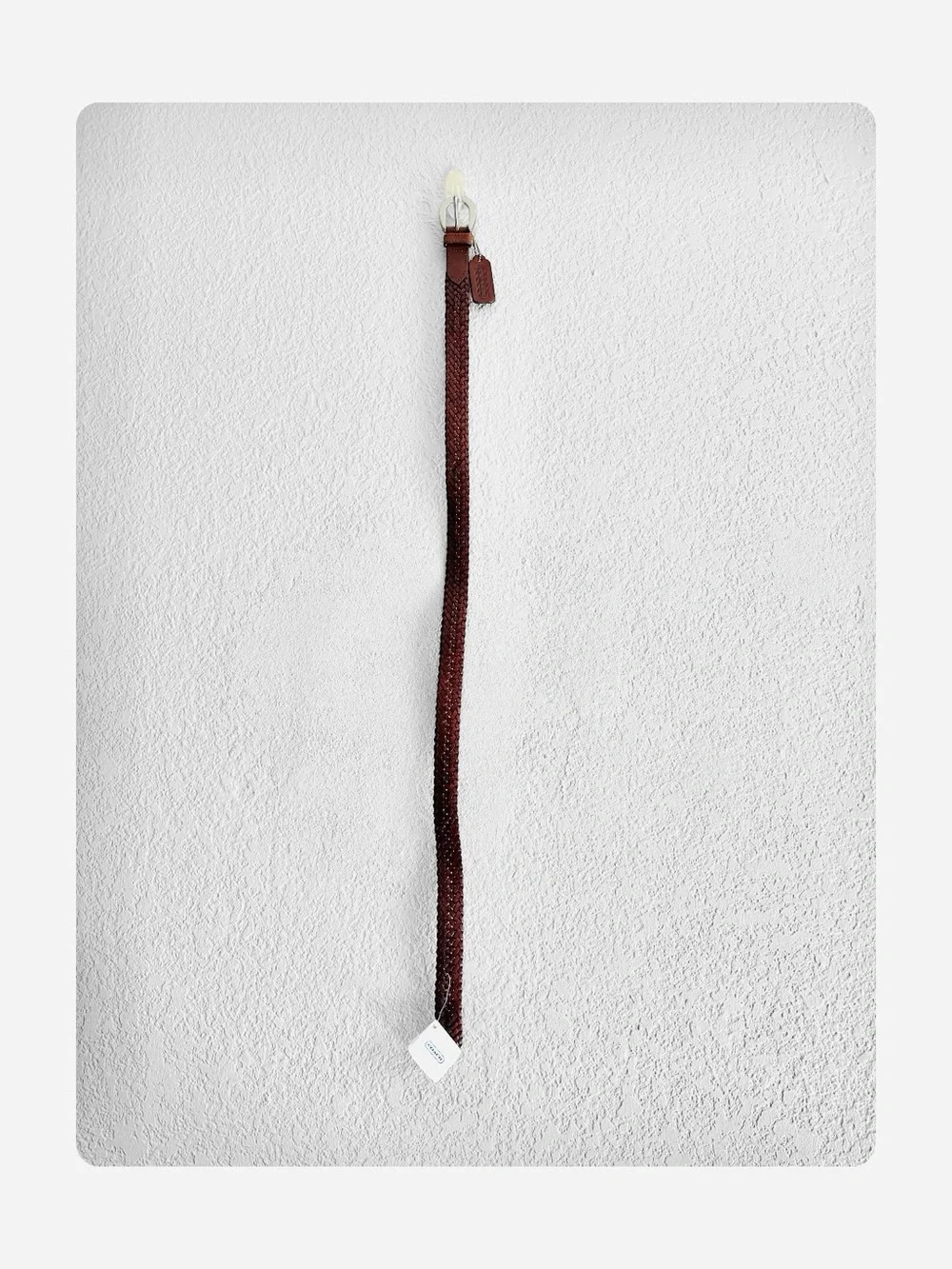 ★ Coach NWT Women’s Harness Buckle Bohemian Seasonal Staple Belt - Brown ★